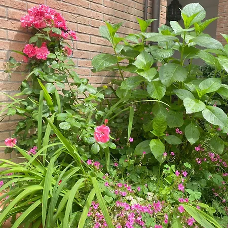 Con Giardino Πανσιόν 3*