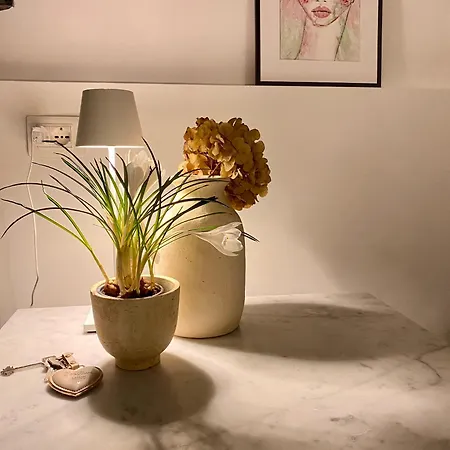 Gæstehus Con Giardino