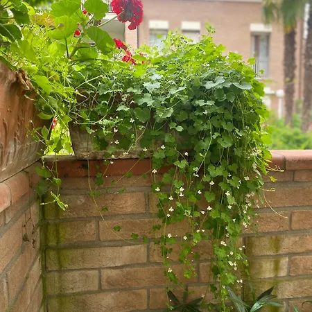 Pensión Con Giardino *