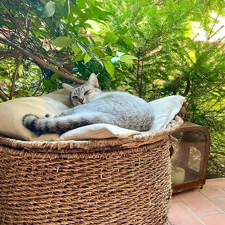 Con Giardino بيت ضيافة 3*