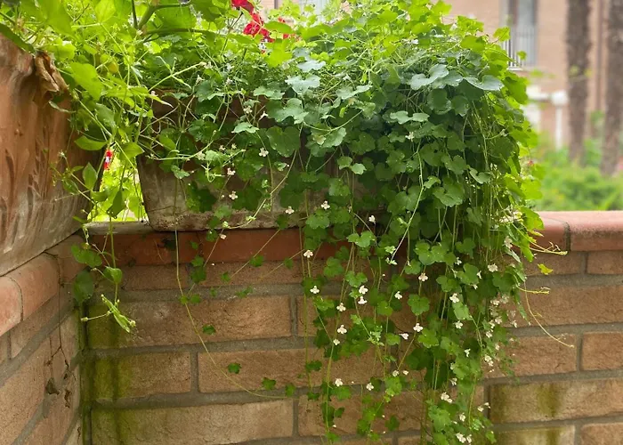 Konukevi Con Giardino 3*