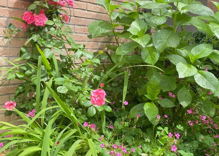 Con Giardino Konukevi 3*