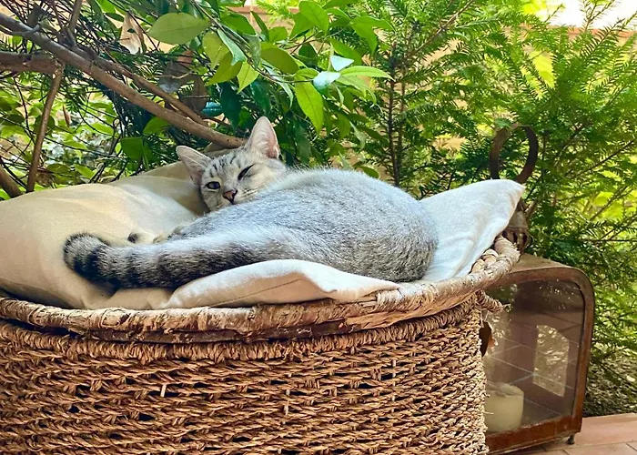 Con Giardino Vendégház 3*